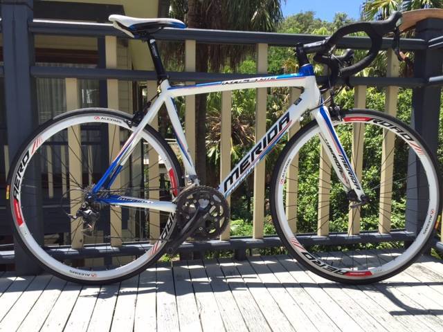 merida race lite 905 price